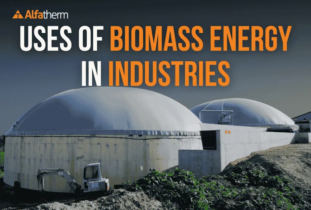 Top Uses of Biomass Energy in the Industrial Sector